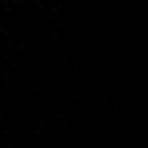 Meet your Posher, Whitney